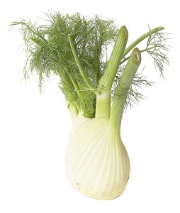 Anise_Or_Fennel_Bulb-254x300