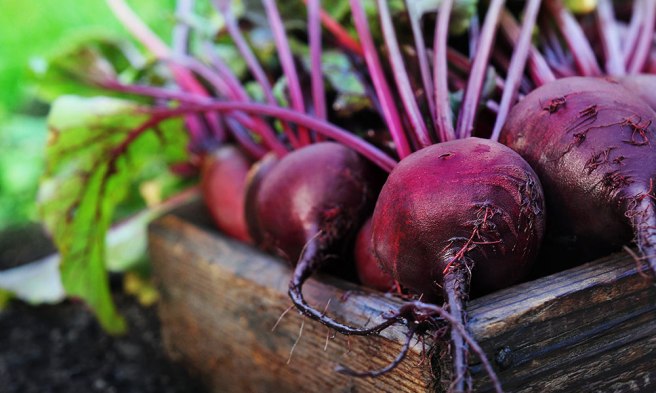 beetroot_photo.jpg