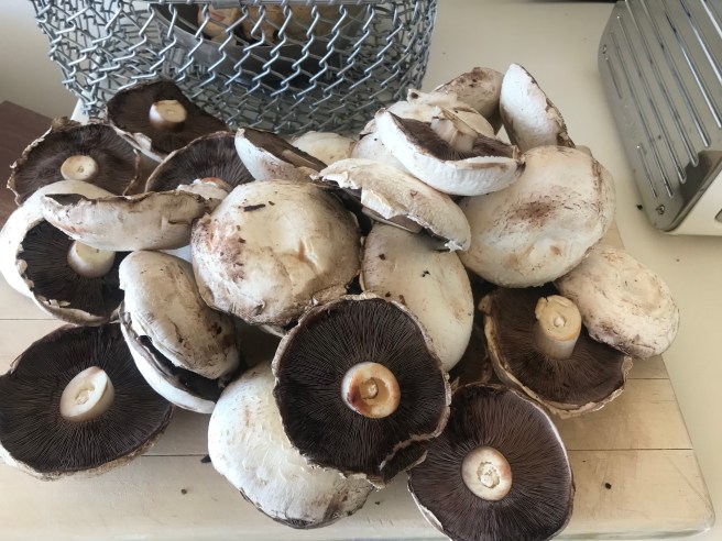 KXYd5o9jQOiGeORuI7f8aQ